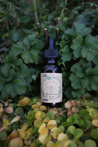 White Willow Bark Tincture