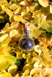 Mini Witches Black Salt Potion Bottle - DO NOT INGEST